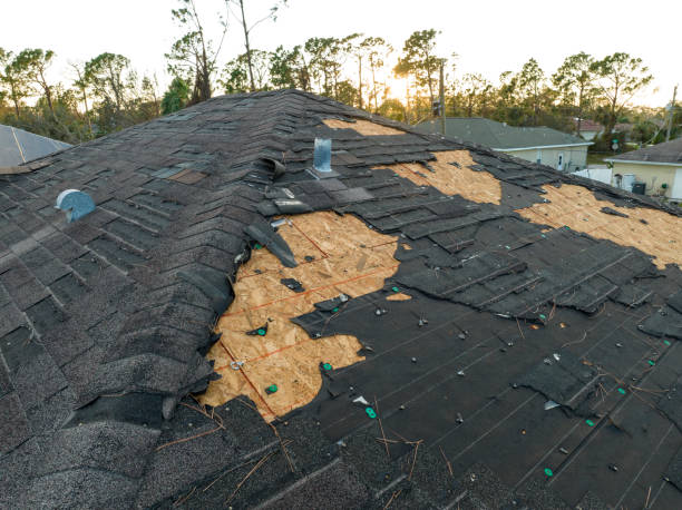 Best Roof Ventilation Installation  in Broomall, PA